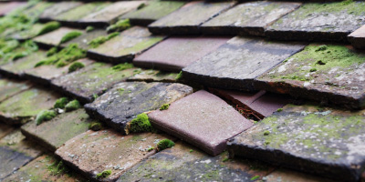 Biddulph roof repair costs